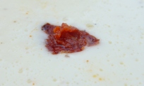 Ziegenkäsecremesuppe mit Chorizo (Foto: Peter Jebsen/All rights reserved)
